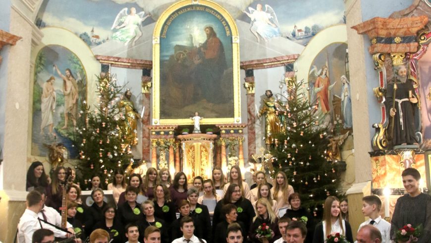 Božićni koncert u Petrijancu