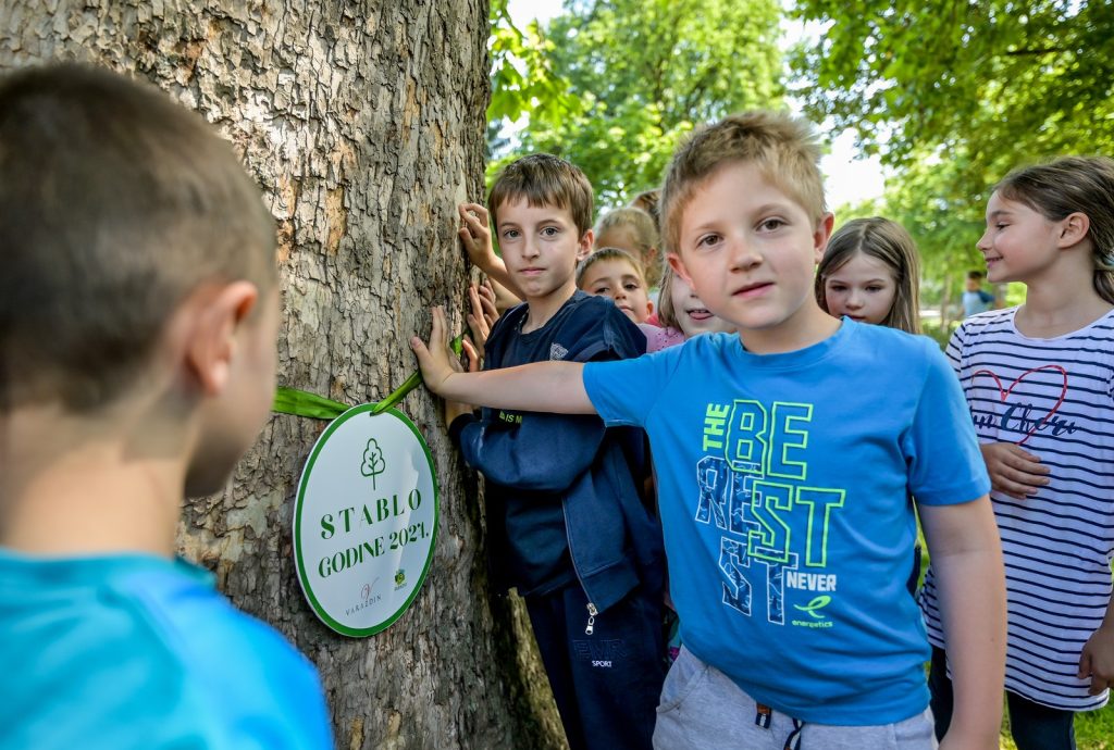 Izbor za Stablo godine 2025. – otvorene nominacije za omiljena stabla građana